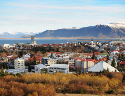 Things to do in Reykjavik